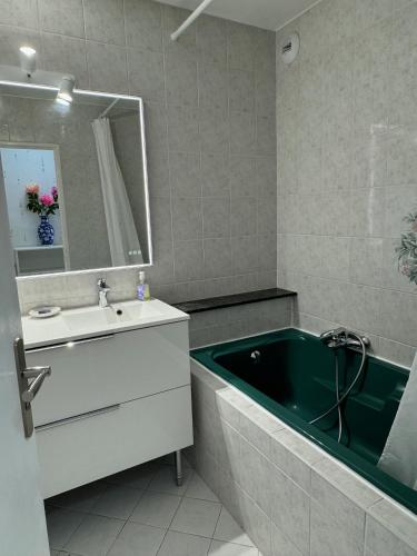 une salle de bain avec une baignoire verte et un lavabo dans l'établissement Bellevue, à Nice
