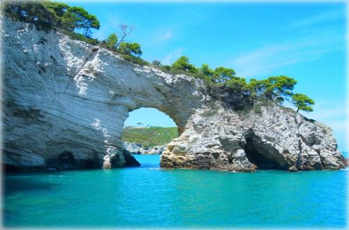Φυσικό τοπίο κοντά σε αυτή η παραθεριστική κατοικία