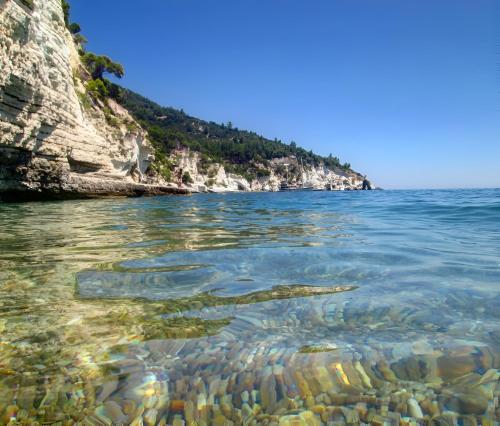 Φυσικό τοπίο κοντά σε αυτή η παραθεριστική κατοικία