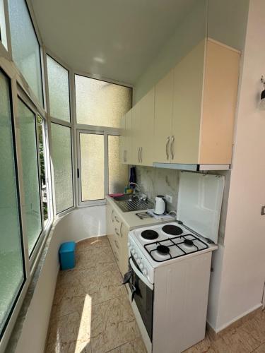 Kuhinja ili čajna kuhinja u objektu Eldi's Apartment