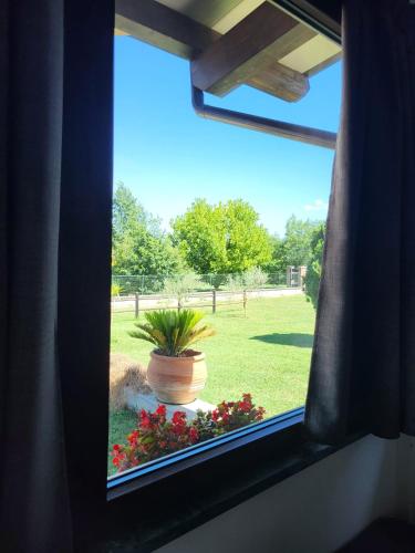 a window view of a potted plant in a yard at Casa MaLa’ in Ceprano