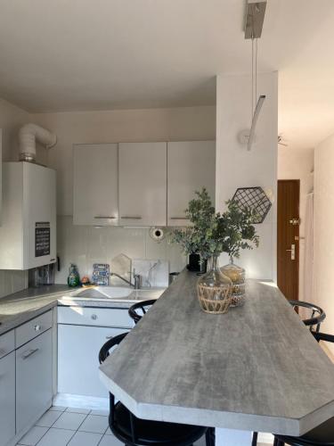 - une cuisine avec une table et une plante en pot dans l'établissement Cocon charmant et fonctionnel, à Le Port-Marly