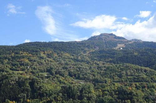 une vue d'une montagne avec des arbres dessus dans l'établissement Résidence Jardins Du Nantet - Appartement 2 pièces 4 personnes à Bourg Saint Maurice proche du centre ville et des commerces MAE-1816, à Bourg-Saint-Maurice