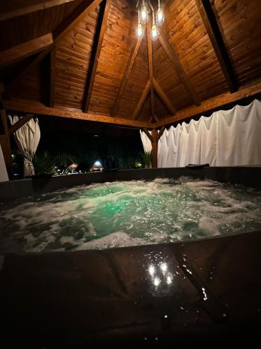 a pool of water in a room with a wooden ceiling at Pension Elegance in Gura Humorului
