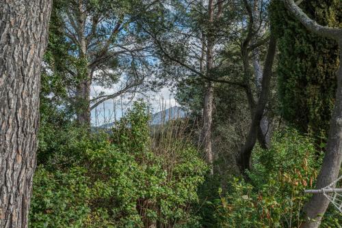 Afbeelding uit fotogalerij van Bibémus in Aix-en-Provence