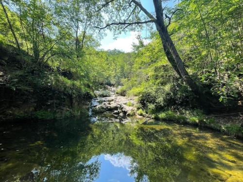 a river in the middle of a forest at Panoramica sul Terrazzo in Villa Talla