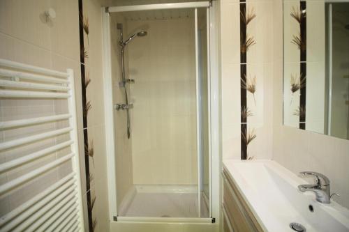 une salle de bain avec douche et lavabo dans l'établissement Résidence Armaillis - Appartment familial, confortable, vue lac MAE-3427, à Tignes
