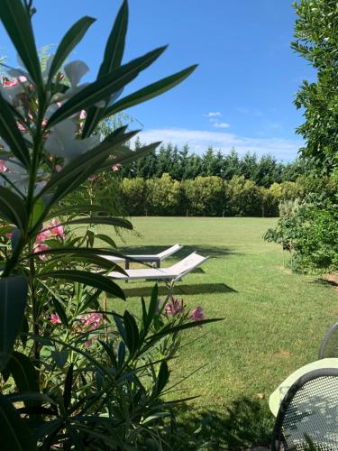 a lawn with two lounge chairs in a yard at B&B Beauty House in Cesena