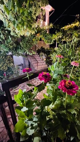 a garden with pink flowers in front of a house at Denis GuestHouse 1930 in Gjirokastër