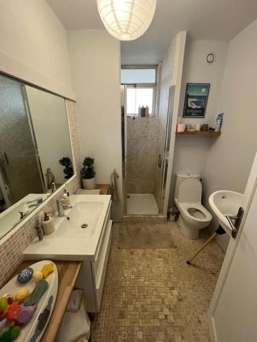une salle de bain avec un lavabo, des toilettes et une douche dans l'établissement Très grand appartement au Raincy, à Le Raincy