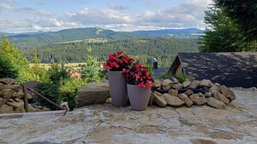 two vases filled with flowers sitting on a stone ledge at Dom pod kogutem in Laliki