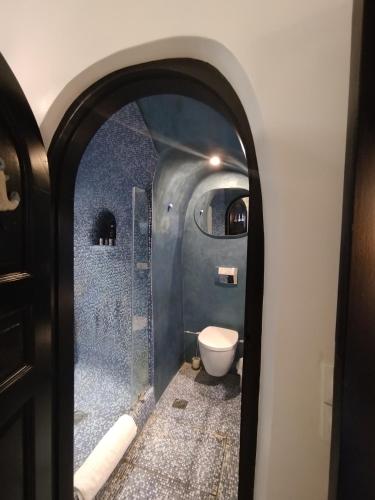 a bathroom with a toilet inside of a train at Villa Orpheus Santorini in Megalokhori