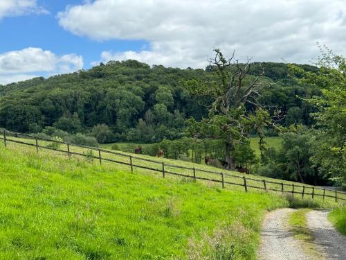 a fence on a grassy hill next to a dirt road at The Spring Slad Valley Cotswolds in Painswick