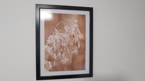 Fotografie z fotogalerie ubytování COSY Studio Szopena v destinaci Řešov