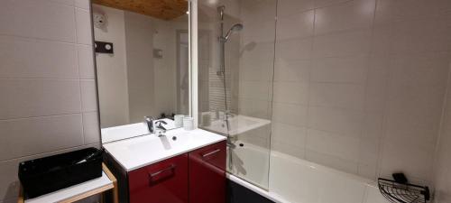 une salle de bain avec un lavabo et une douche dans l'établissement Résidence FlÈche - Studio pour 4 Personnes 174, à La Plagne Tarentaise