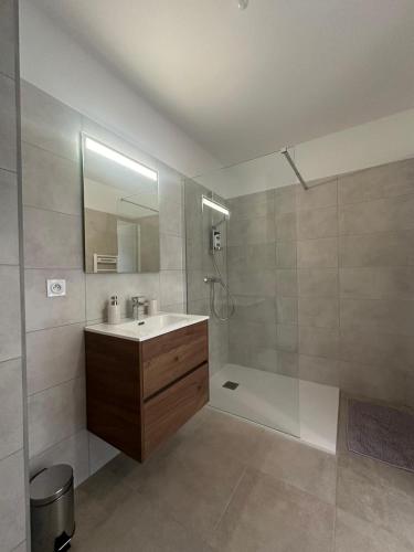 une salle de bain avec un lavabo et une douche avec un miroir dans l'établissement Appartement Miramare, à Bastia