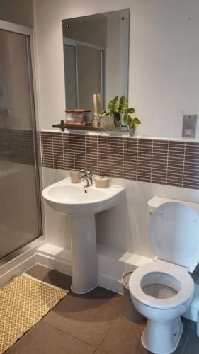 a bathroom with a toilet and a sink at The Green Top flat with parking included amazing views and perfect location in Plymouth