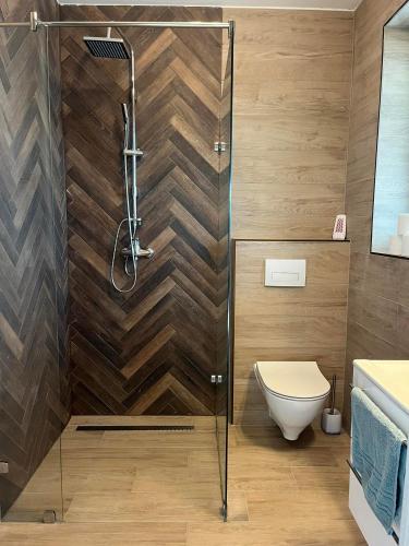a bathroom with a shower and a toilet at Lux Penthouse Balatonlelle in Balatonlelle
