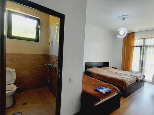 a bedroom with a bed and a bathroom with a toilet at Guest House Dimitri in Chakvi