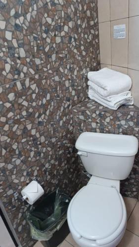 a bathroom with a toilet and a rock wall at HOTEL BACANTES in Puebla