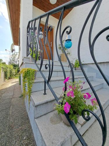 Apartment Anna - Austrian country house in Marchfeld im Weinviertel