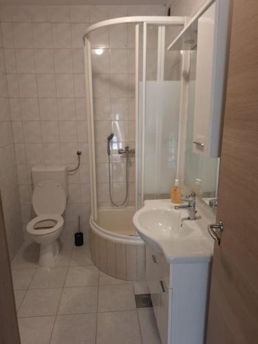 a bathroom with a shower and a toilet and a sink at Ria in Jesenice