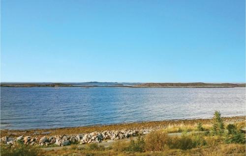 a large group of birds on the shore of a lake at Holiday Home Vallersund Nausthylla Haldorhamn in Drilen