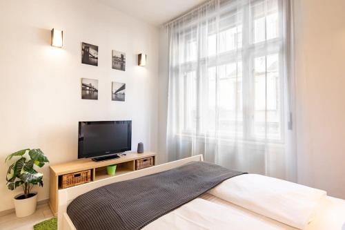 Central Comfy Home 1077 Budapest, Dob utca 71 kép - 3