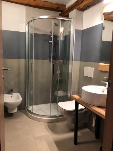 a bathroom with a shower and a toilet and a sink at Cicapuy in Puys