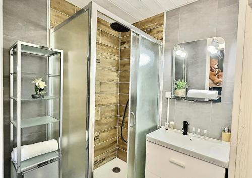 une salle de bain avec une douche, un lavabo et un miroir dans l'établissement Résidence Home Club - Bel appartement rénové pouvant acueillir 4 personnes à Tignes Lavachet MAE-2184, à Tignes