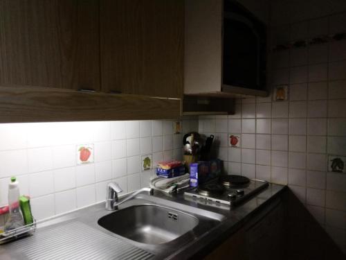 - un évier de cuisine avec un chien assis sur le comptoir dans l'établissement Résidence Les Glaciers 3 - 2 Pièces pour 5 Personnes 214, à Aime La Plagne