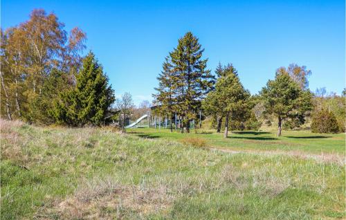 a park with trees on a grass field at 3 Bedroom Amazing Home In Löttorp in Löttorp