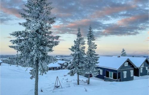 a cabin in the snow with snow covered trees at Beautiful Home In Sjusjøen With Wifi in Sjusjøen