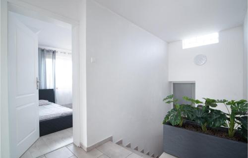 a room with a bed and plants in it at Gorgeous Home In Miciszewice With Wifi in Mściszewice