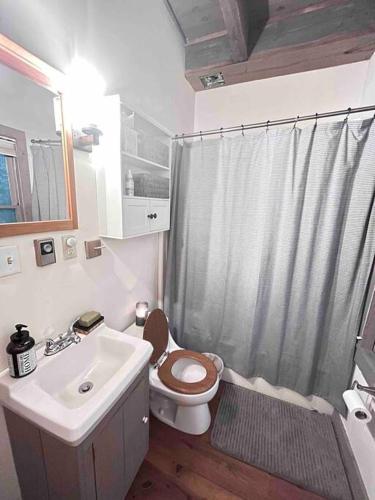 a bathroom with a toilet and a sink and a shower at Treetop Cabin in Cedar Mountain