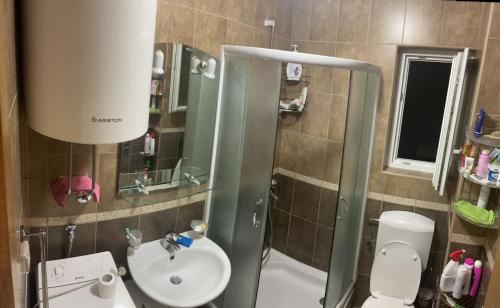 a small bathroom with a toilet and a sink at Apartment GLORIA in Becici