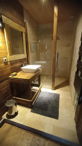 une salle de bain avec un lavabo et une baignoire dans l'établissement Studio Nature proche Paris, à Béthemont-la-Forêt