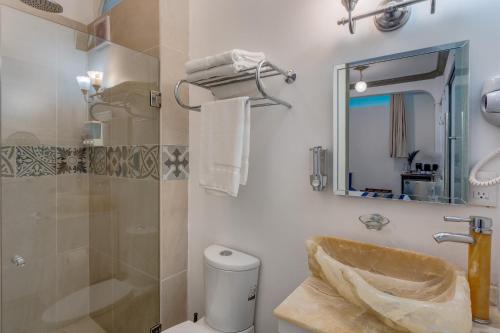 a bathroom with a shower and a sink and a mirror at The Condesa House in Mexico City