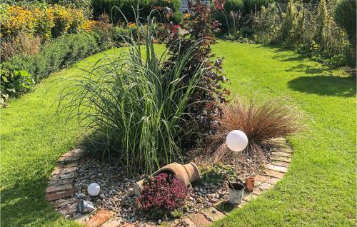 a garden with plants and flowers in a yard at Nice Home In Nowe Warpno With Wifi in Nowe Warpno