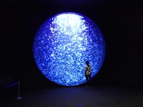 a person standing in front of a large blue object at Shonai Hotel Suiden Terrasse in Tsuruoka