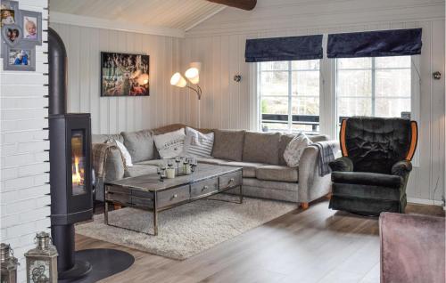 a living room with a couch and a fireplace at 4 Bedroom Awesome Home In Drangedal in Drangedal