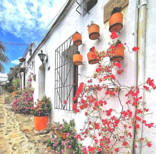 a building with flowers on the side of it at Aldea Inmueble in Doradal