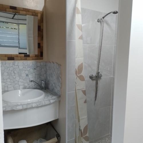 Ein Badezimmer in der Unterkunft faré apî