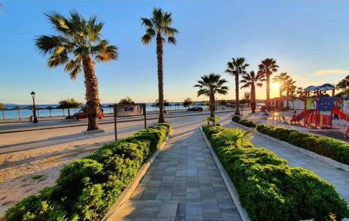 a street with palm trees and a playground at Vila Maria in Vir