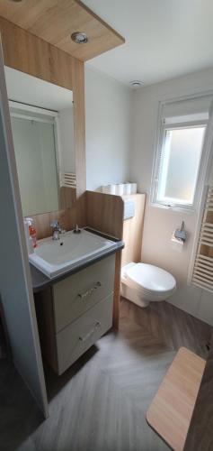 een badkamer met wastafel en toilet bij MH 3ch calme Bois Dormant accueil personnalisé in Saint-Jean-de-Monts