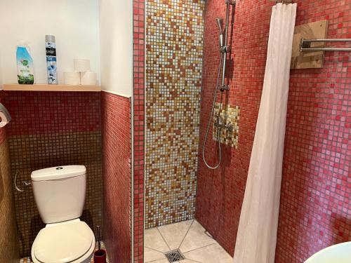 une salle de bain avec toilettes et douche dans l'établissement Gîte le Pressoir, à Narbonne