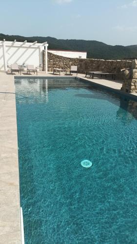 a swimming pool with a frisbee in the water at Masseria Straziuso - La Vaccariccia in San Chirico Nuovo