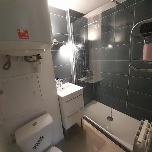 une salle de bain avec une douche, des toilettes et un lavabo dans l'établissement Joli T2 3mn mer. Proche commodité WiFi Parking, à La Seyne-sur-Mer