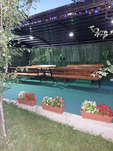Gallery image of Home for you in Eşelniţa