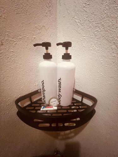 two rolls of toilet paper on a holder on a wall at Sunnyside Moalboal - 써니사이드 모알보알 게스트 하우스 in Moalboal
